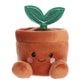 Terra Potted Plant