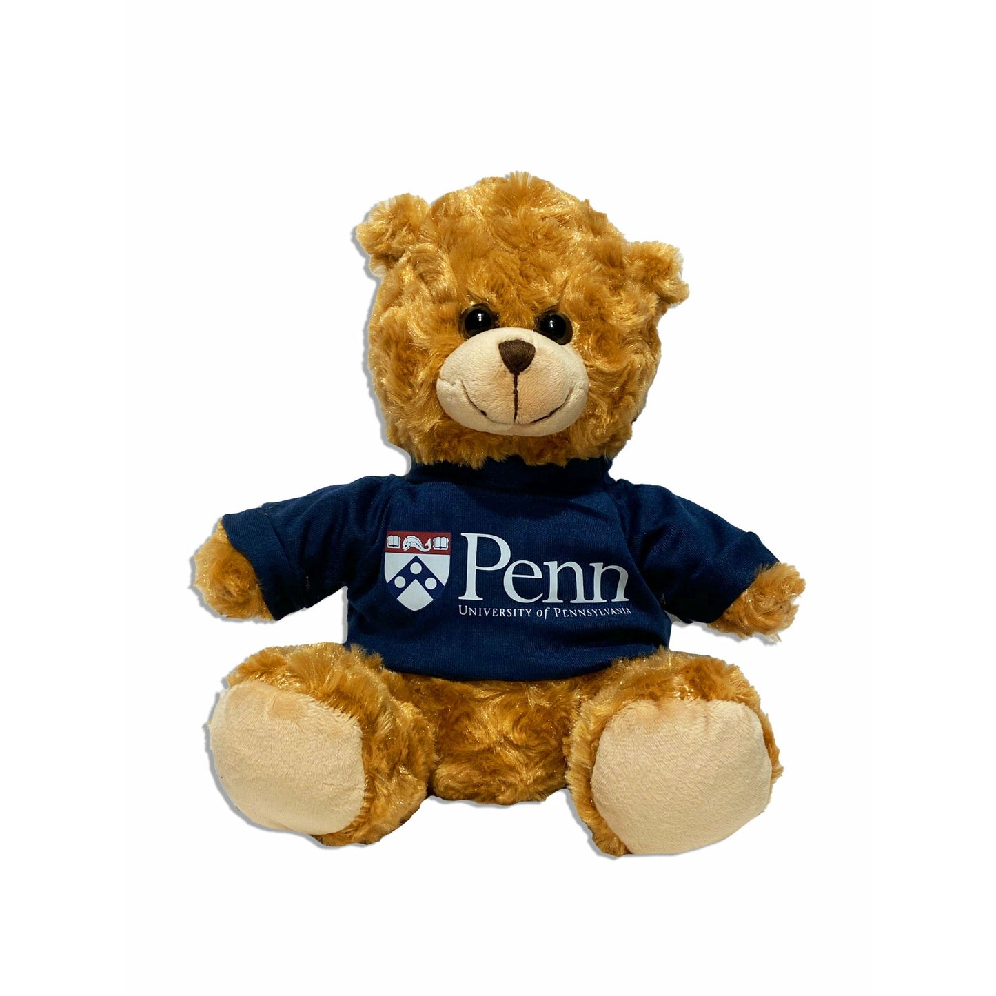College Teddy Bears